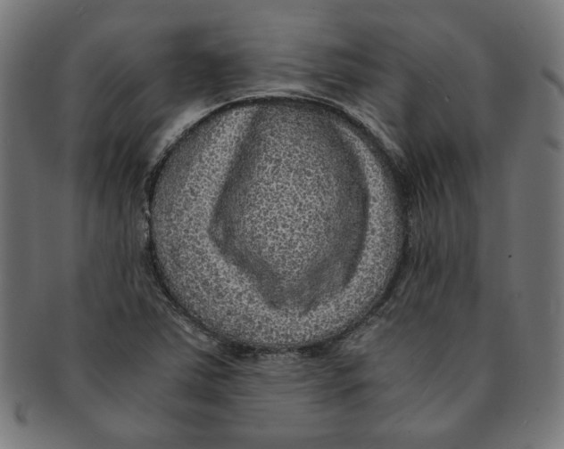 X0000091201363200709061405