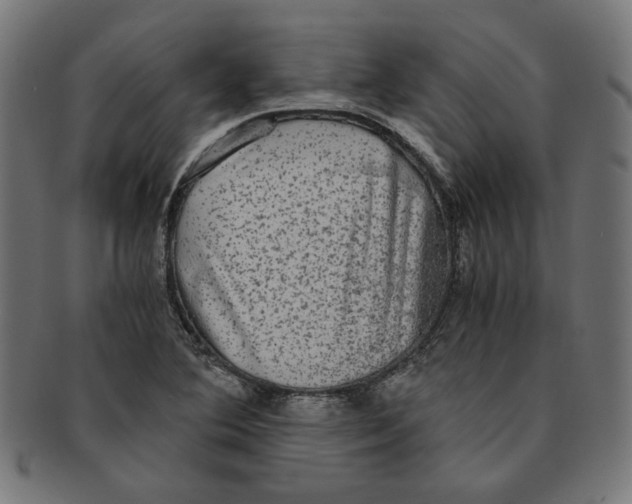 X0000091201364200709061405
