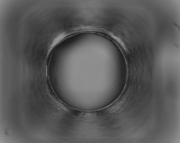 X0000091201365200709061405