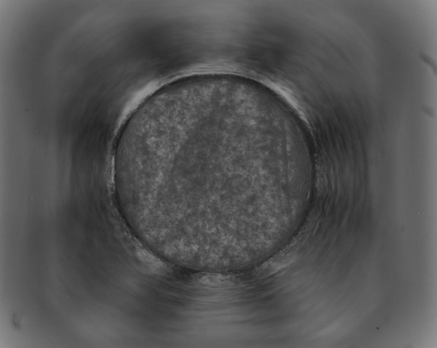 X0000091201366200709061405