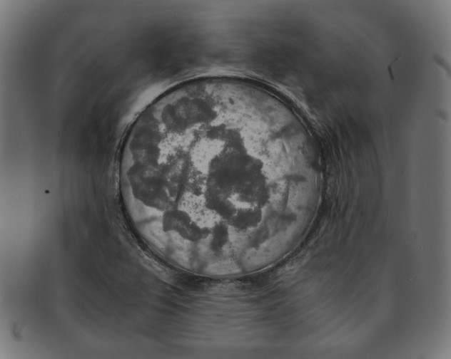 X0000091201367200709061405