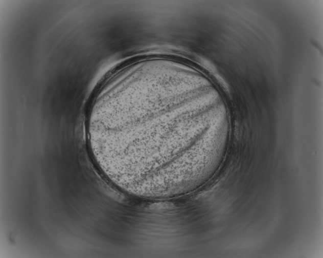X0000091201368200709061405