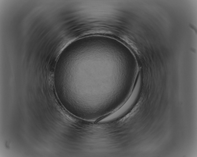 X0000091201369200709061405