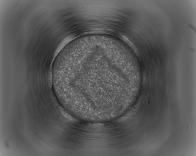 X0000091201370200709061405