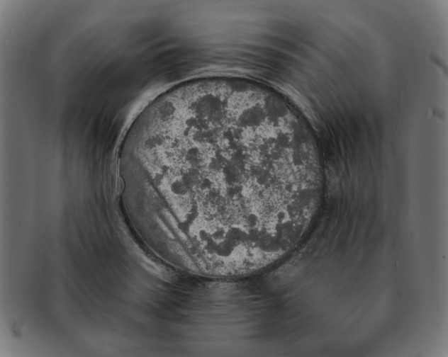 X0000091201371200709061405