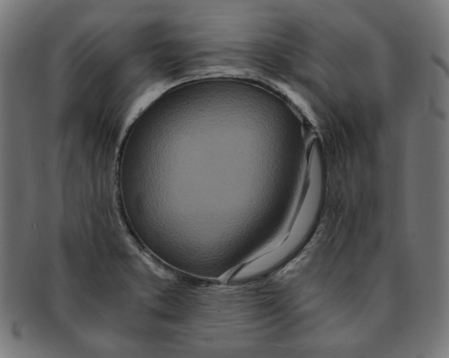 X0000091201373200709061405