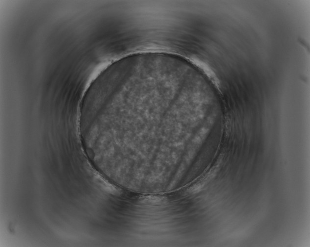 X0000091201374200709061405