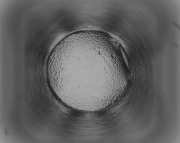 X0000091201375200709061405