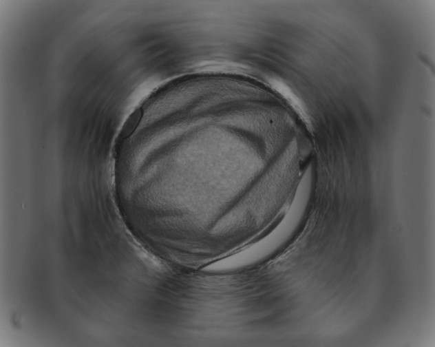 X0000091201376200709061405