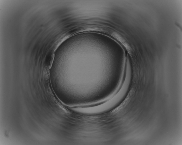 X0000091201377200709061405