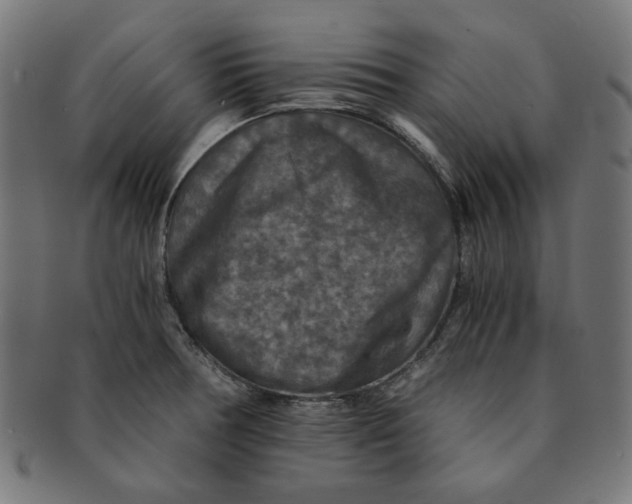 X0000091201378200709061405