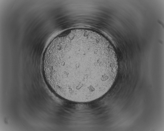 X0000091201379200709061405
