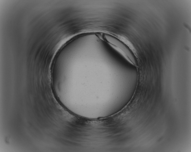 X0000091201380200709061405