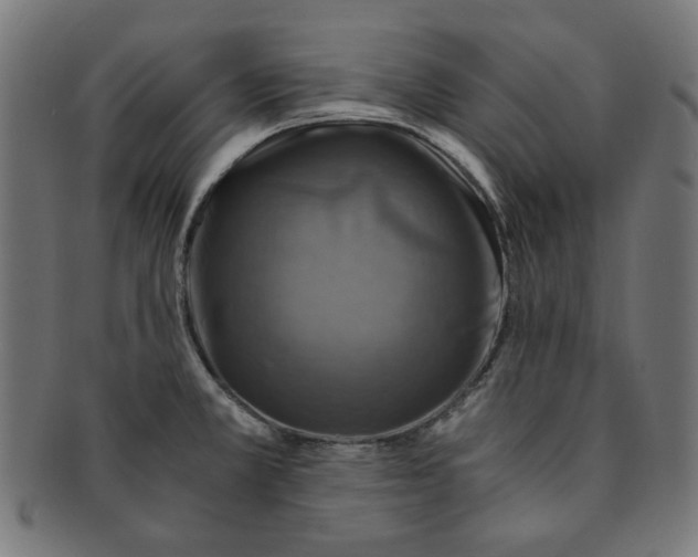 X0000091201381200709061405