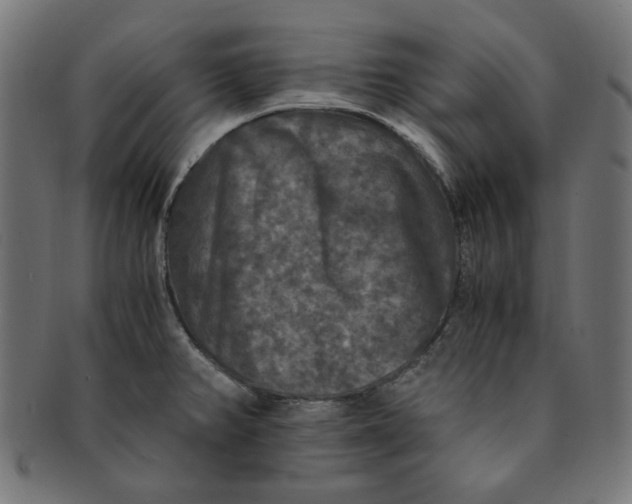 X0000091201382200709061405