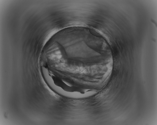 X0000091201383200709061405