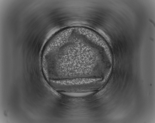 X0000091201384200709061404