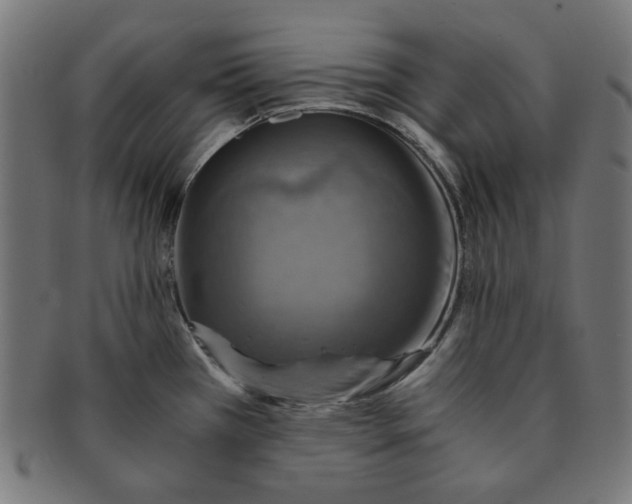 X0000091201385200709061404