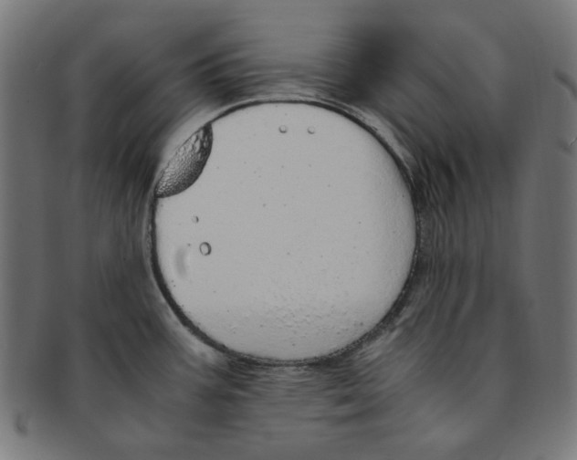 X0000091201387200709061404