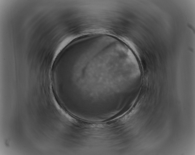X0000091201389200709061404