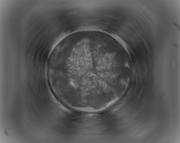X0000091201390200709061404
