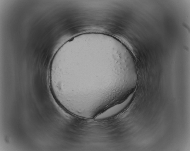 X0000091201391200709061404