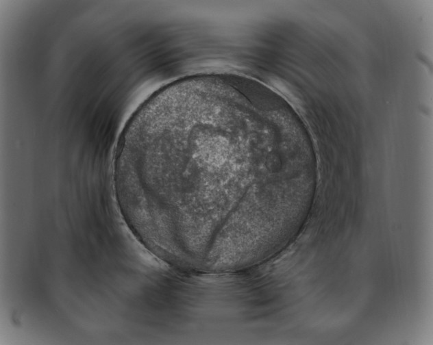 X0000091201392200709061404