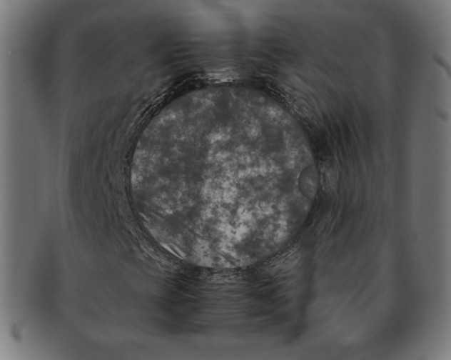 X0000091201393200709061404