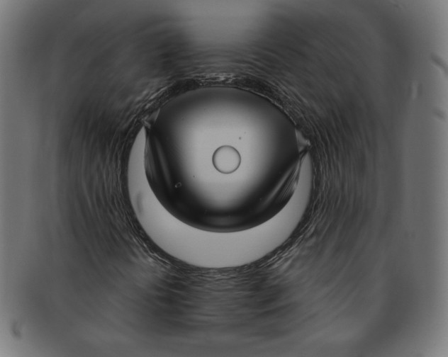 X0000091201394200709061404