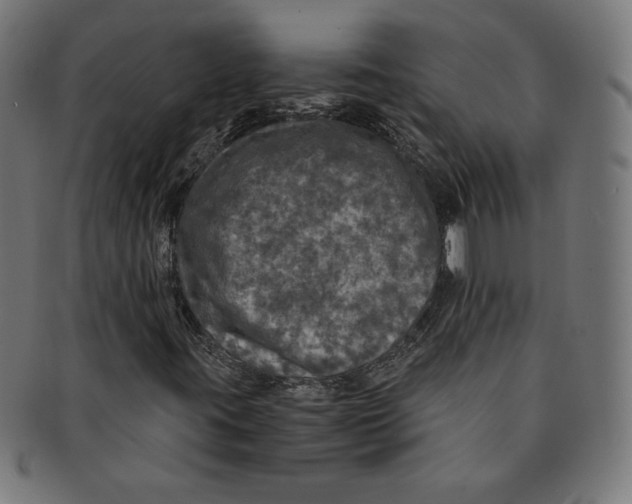 X0000091201395200709061404