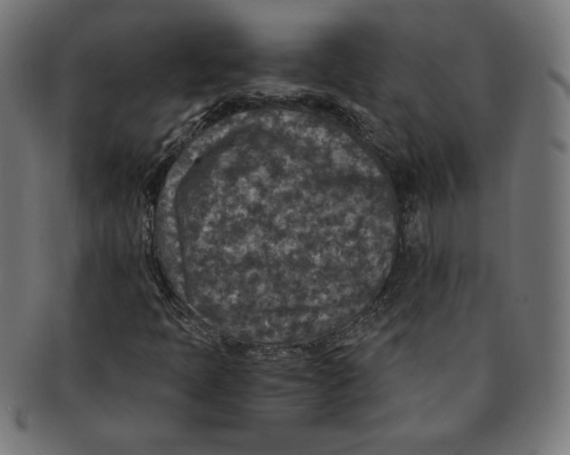 X0000091201397200709061404