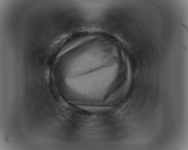 X0000091201398200709061404