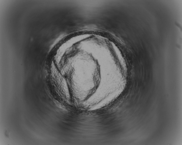 X0000091201400200709061404