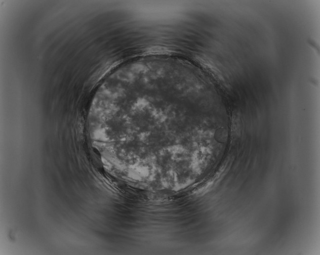X0000091201401200709061404