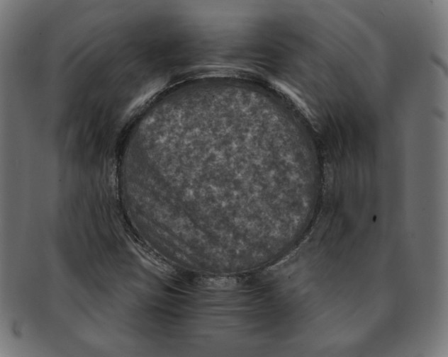 X0000091201403200709061404