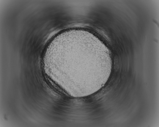 X0000091201404200709061404