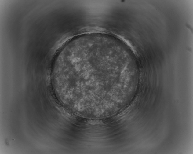 X0000091201407200709061404