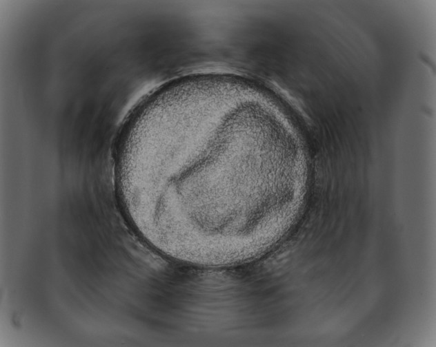 X0000091201408200709061404