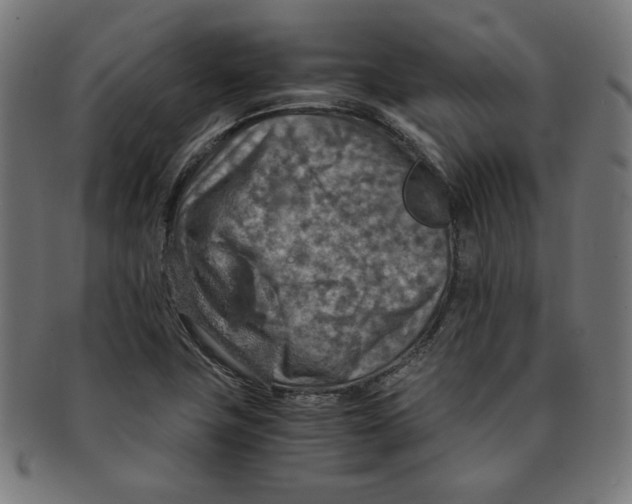 X0000091201411200709061404