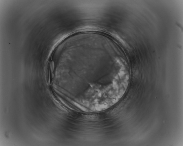 X0000091201413200709061404