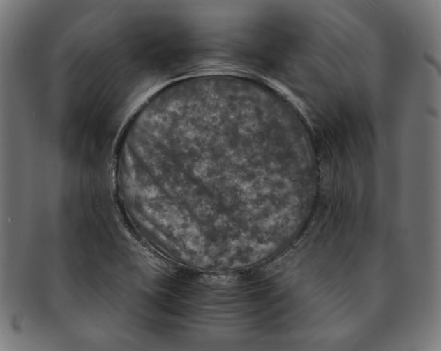 X0000091201415200709061404