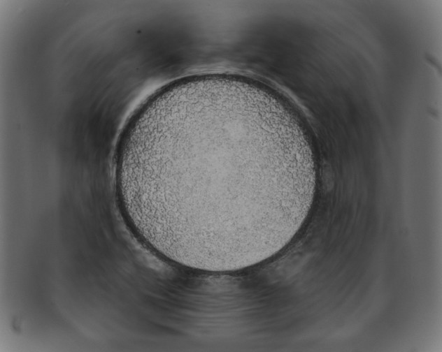 X0000091201416200709061404