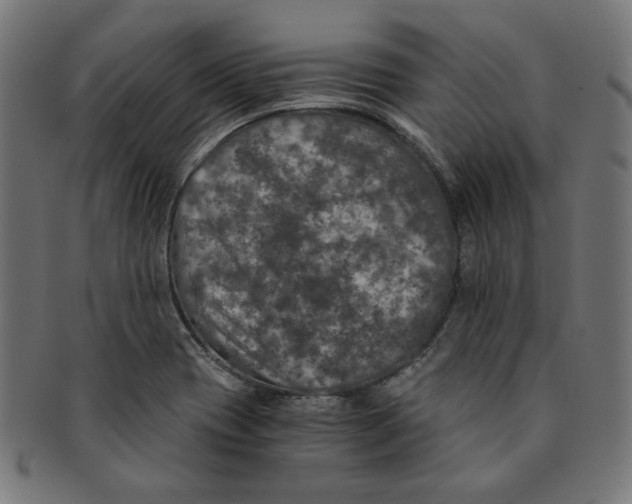 X0000091201417200709061404
