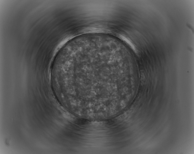 X0000091201419200709061404