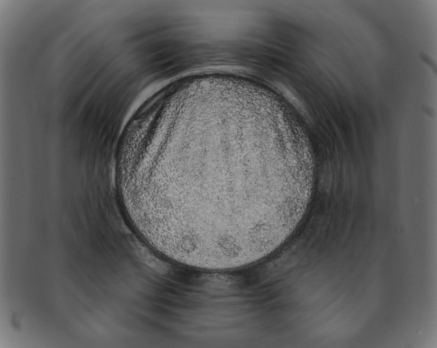 X0000091201420200709061404