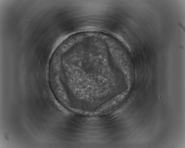 X0000091201421200709061404
