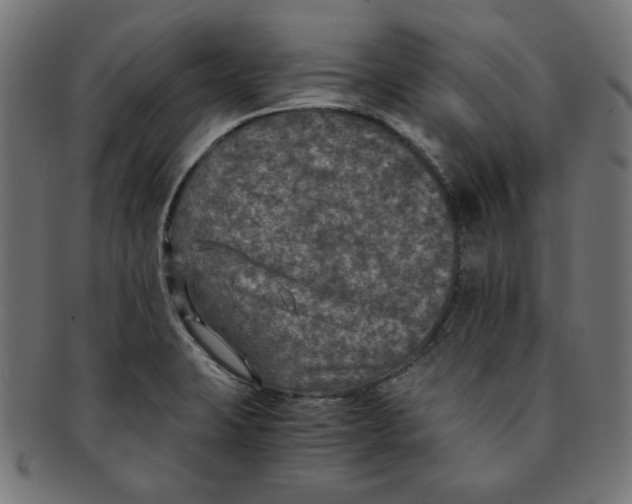 X0000091201423200709061404