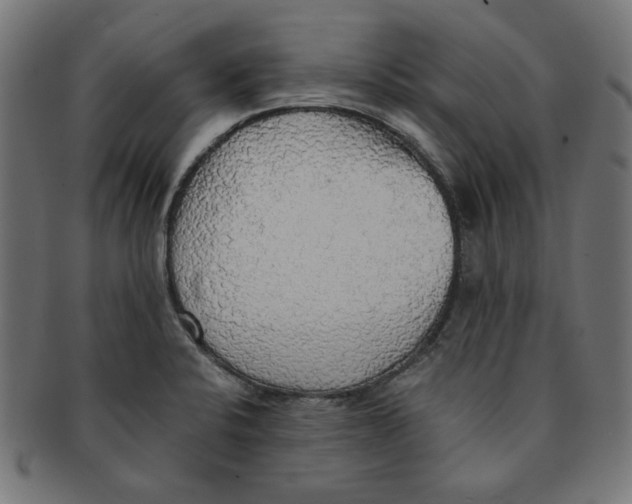 X0000091201424200709061404
