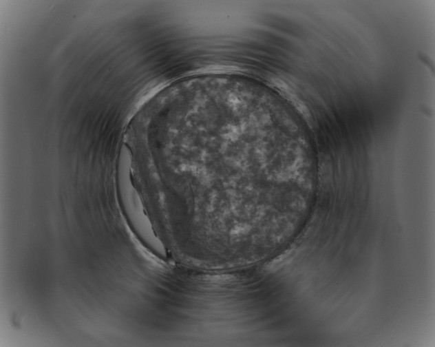 X0000091201425200709061404