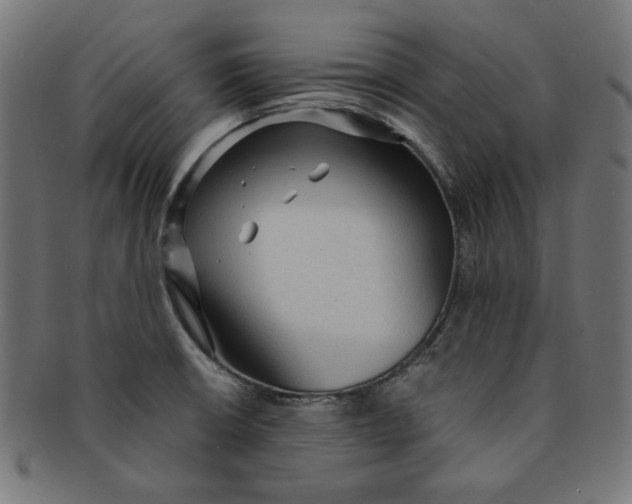 X0000091201426200709061404